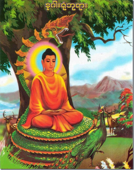 Buddha Image (22)