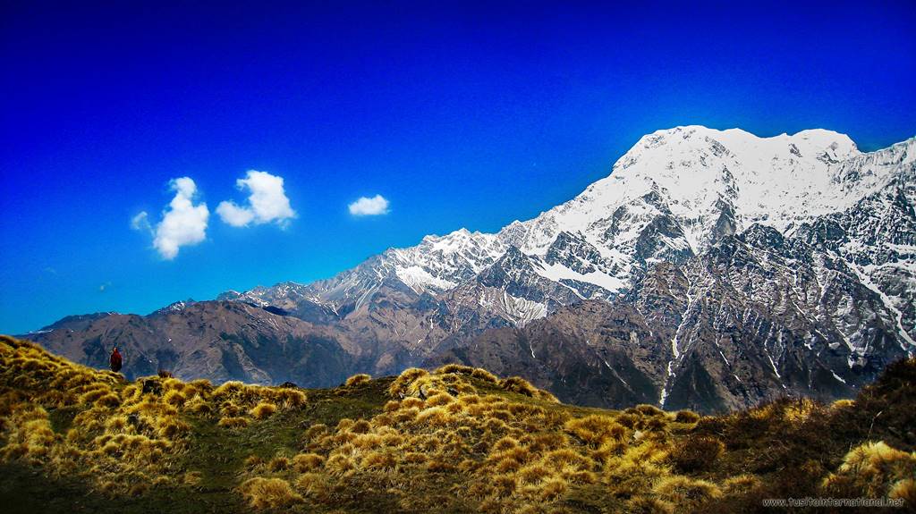 远在天边近在眼前