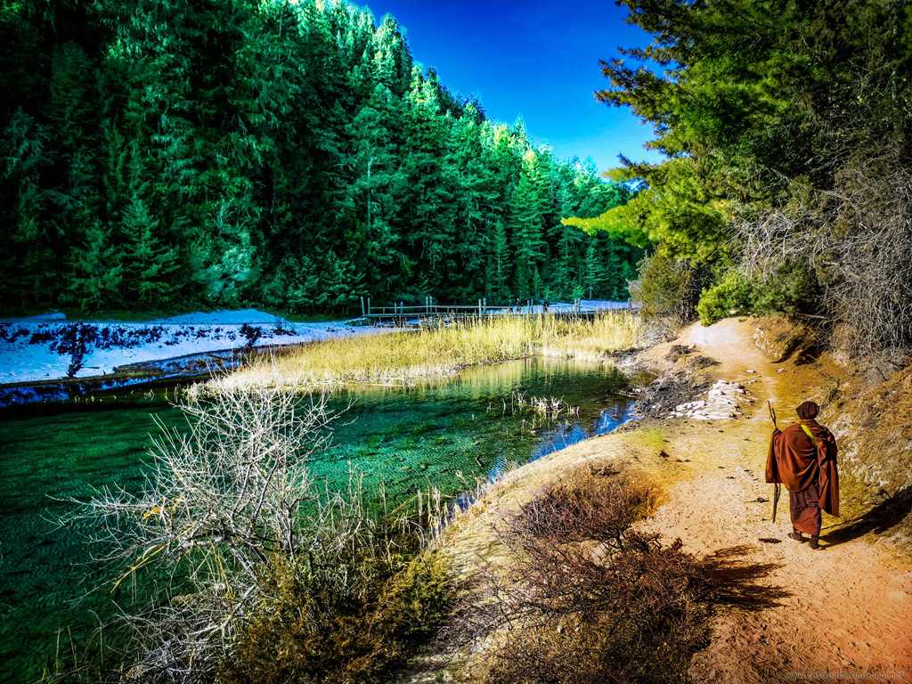 在尼泊尔中西部穆谷行政专区的拉拉湖旁